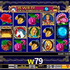 w79 Rio de Janeiro - Bonus Terms