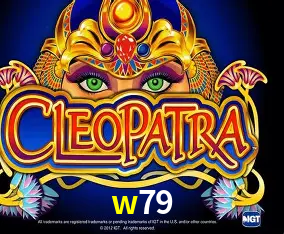 w79 Curitiba - Live Status
